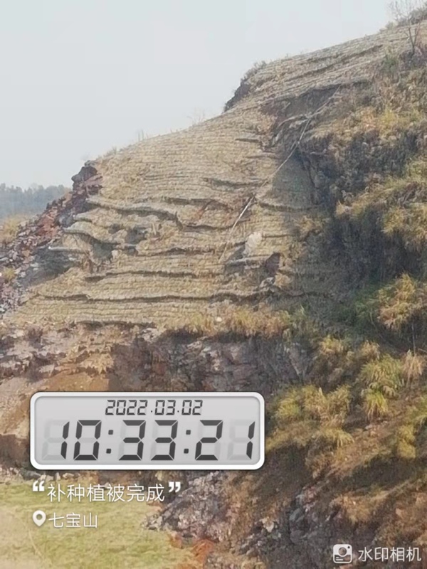 江西铜业集团七宝山矿业有限公司 采场岩石边坡生态复绿工程